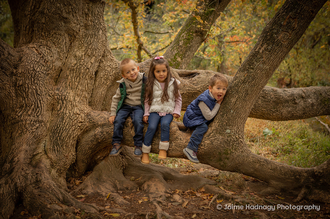 Outdoor Family Photos in Asheville with 4 Year Old Triplets