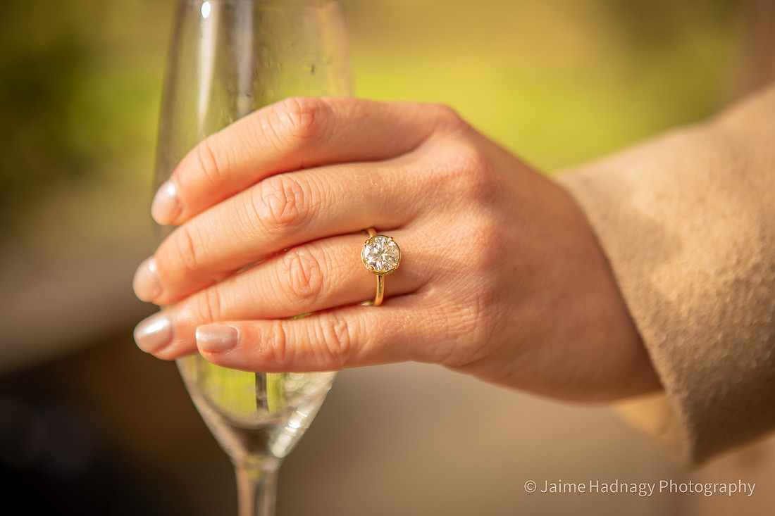 Engagement Session after Surprise Proposal in Asheville at Botanical Gardens
