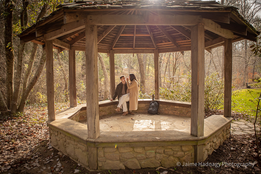 Engagement Session after Surprise Proposal in Asheville at Botanical Gardens