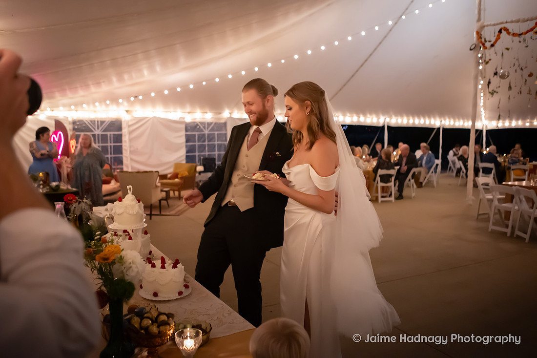 Asheville Wedding Photographer | Retro Theme Wedding