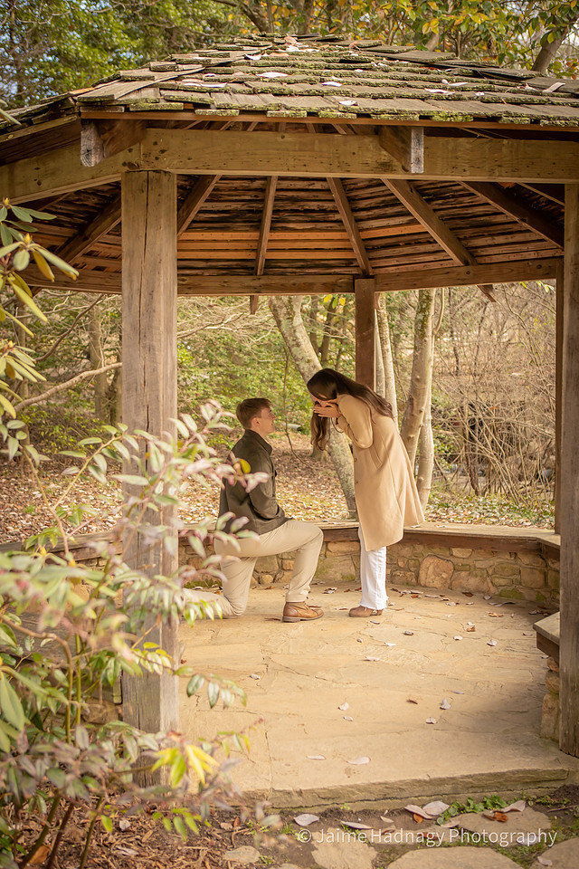 Surprise Proposal at Asheville Botanical Gardens | Asheville Engagement Photographer