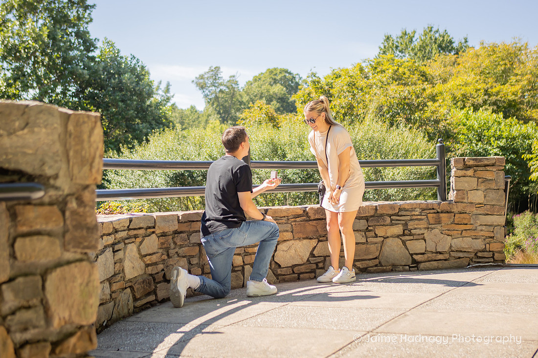 Surprise Proposal at The NC Arboretum | Asheville Engagement Photographer