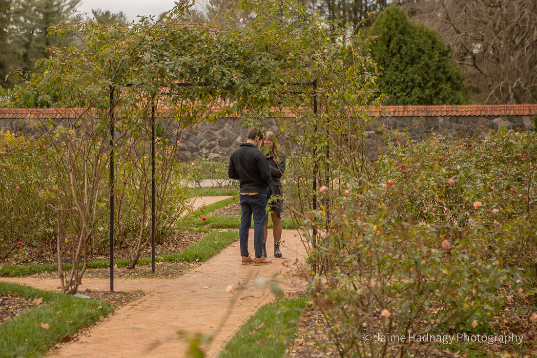 Proposal in the Biltmore Estate Rose Garden | Asheville Engagement Photographer