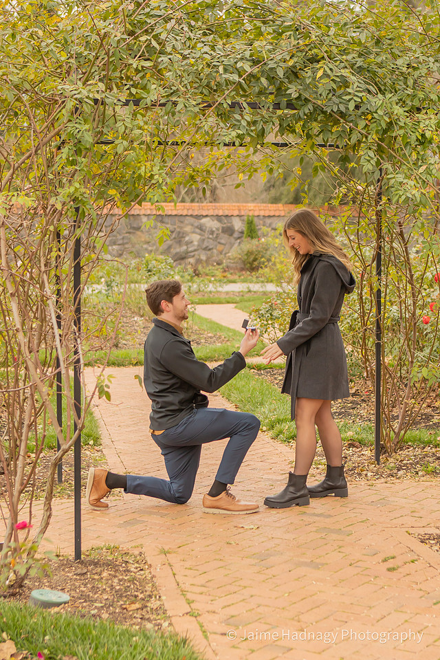 Winter Proposal in the rose garden at Biltmore House | Asheville Photography
