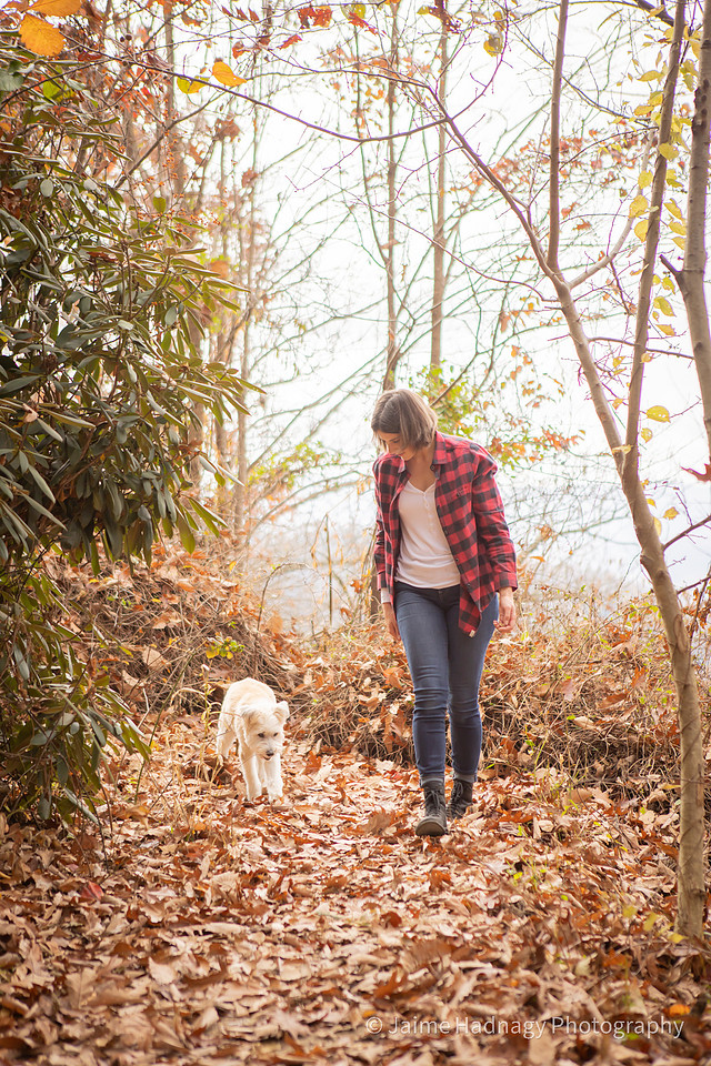 Old Dog End Of Life Photos | Asheville Pet Photographer