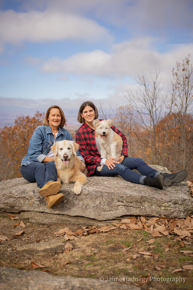 Senior Dog Family Photos Outdoors | End Of Life Shoot | Asheville Pet Photographer