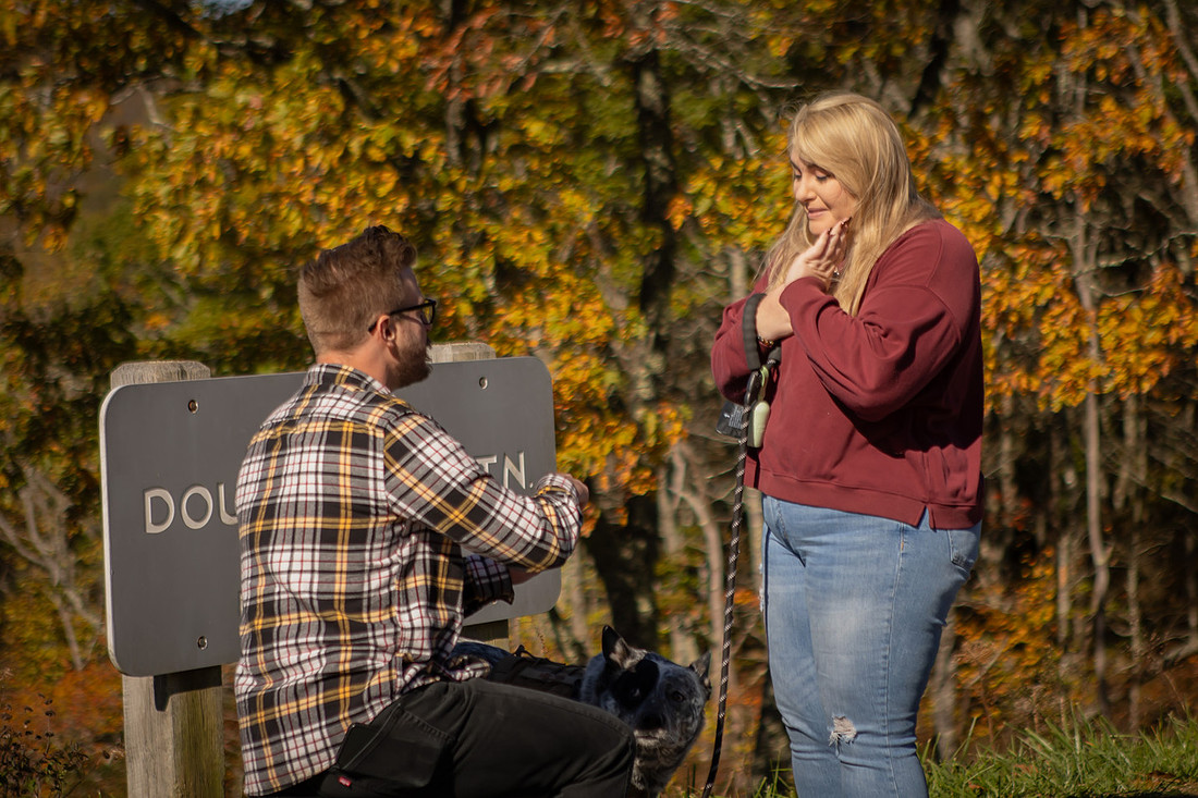 Blue Ridge Parkway Overlook Surprise Proposal | North Carolina Photographer