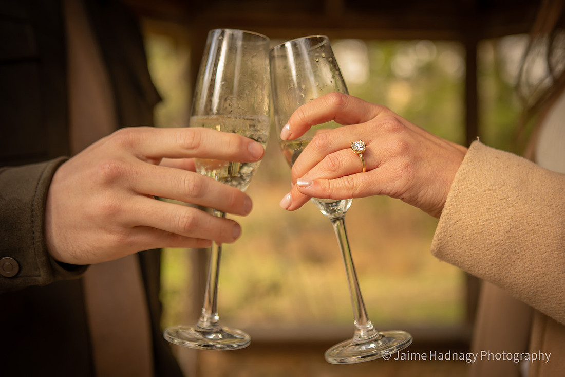Engagement Session after Surprise Proposal in Asheville at Botanical Gardens