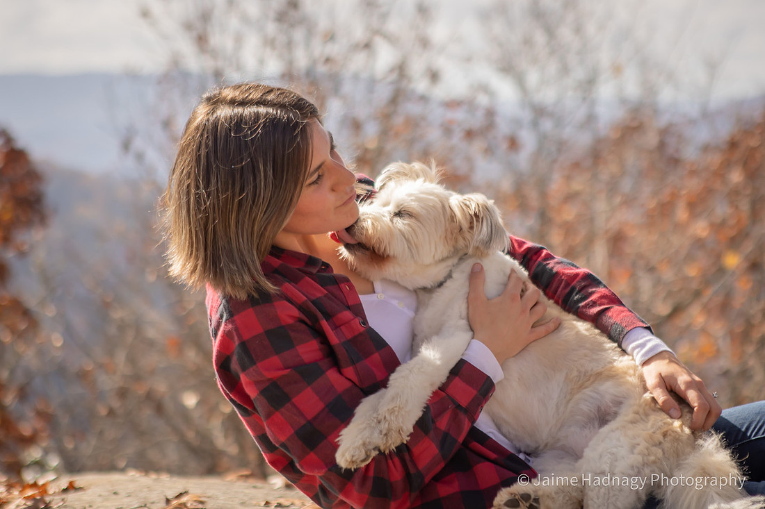 Loving Photoshoot For Elderly Dog | Asheville Furbaby Photographer