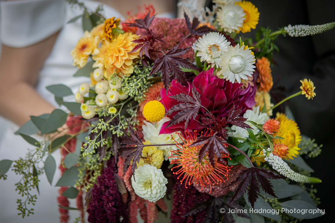 Asheville Photographer Retro Wedding
