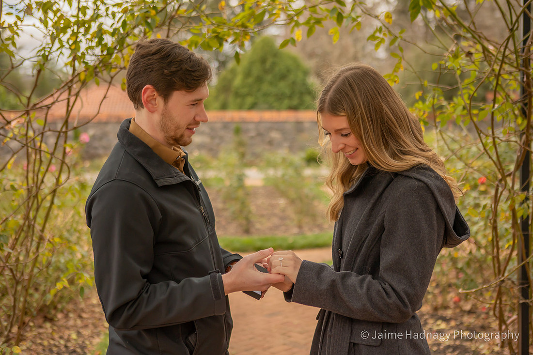 Winter Proposal in the rose garden at Biltmore House | Asheville Photography