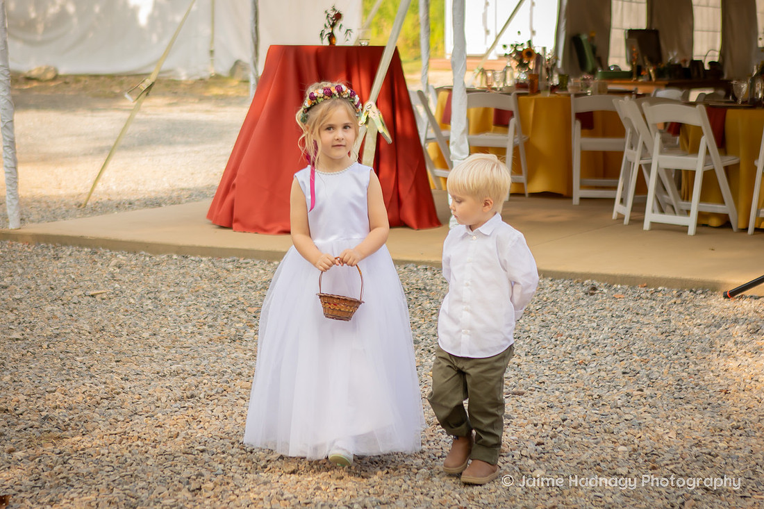 Asheville Wedding Photographer Outdoor Ceremony Photos