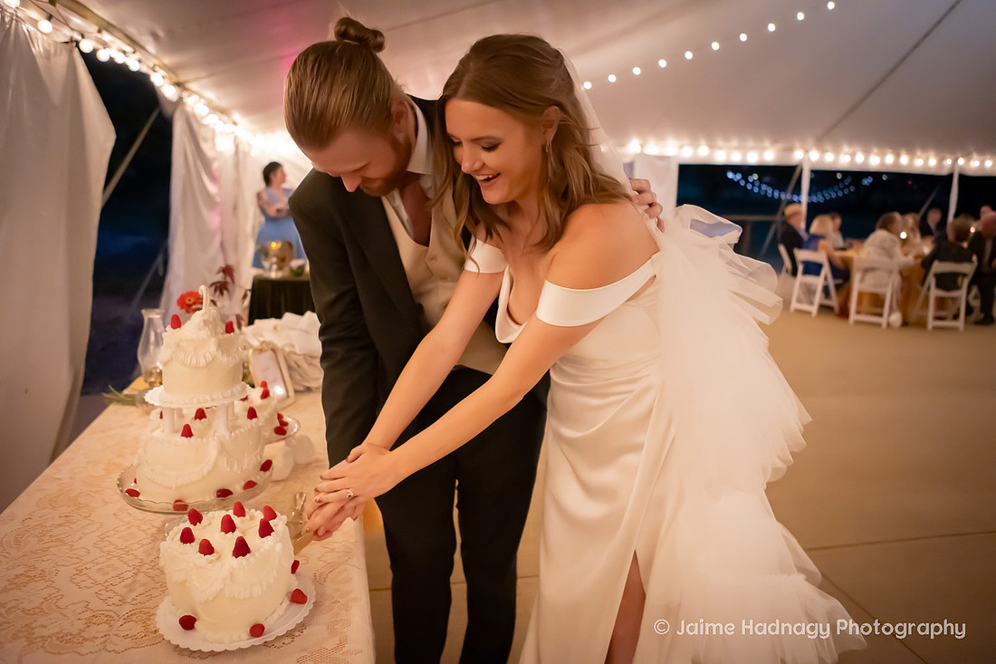 Asheville Wedding Photographer | Retro Theme Wedding