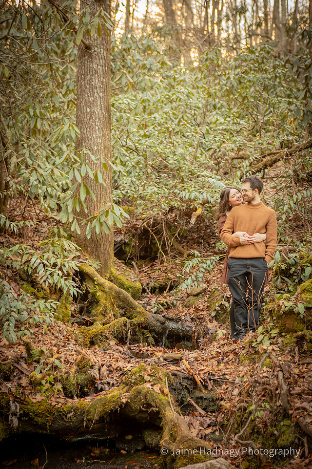 Romantic Engagement Session by a Waterfall | Brevard Photographer Dupont