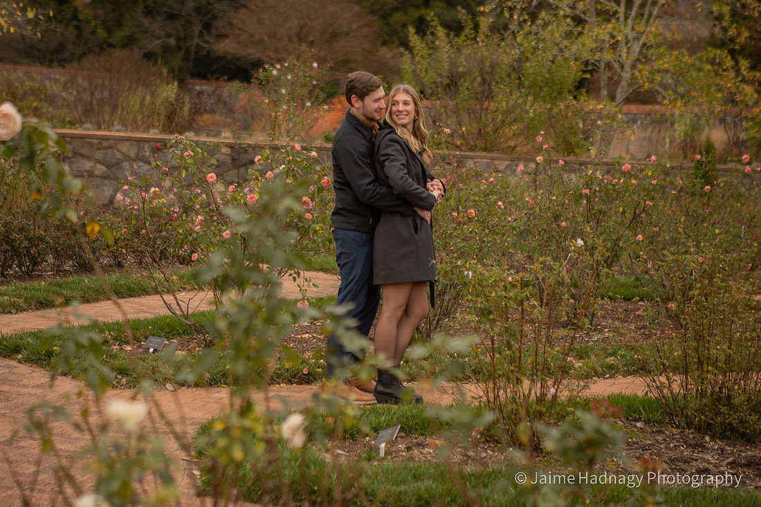 Winter Proposal in the rose garden at Biltmore House | Asheville Photography