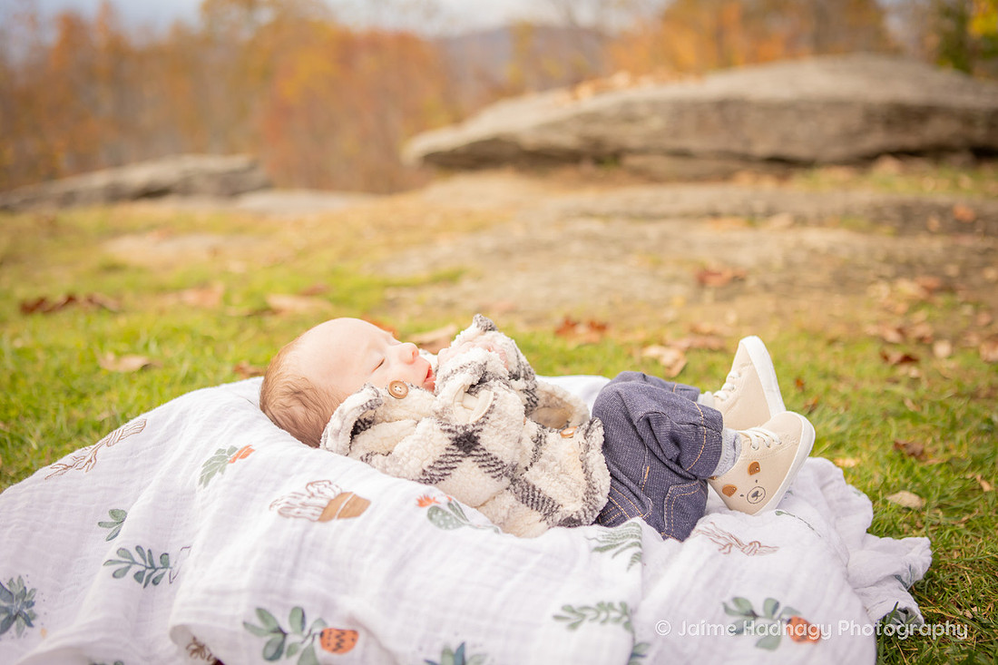 Newborn Photoshoot | Asheville Baby Photographer