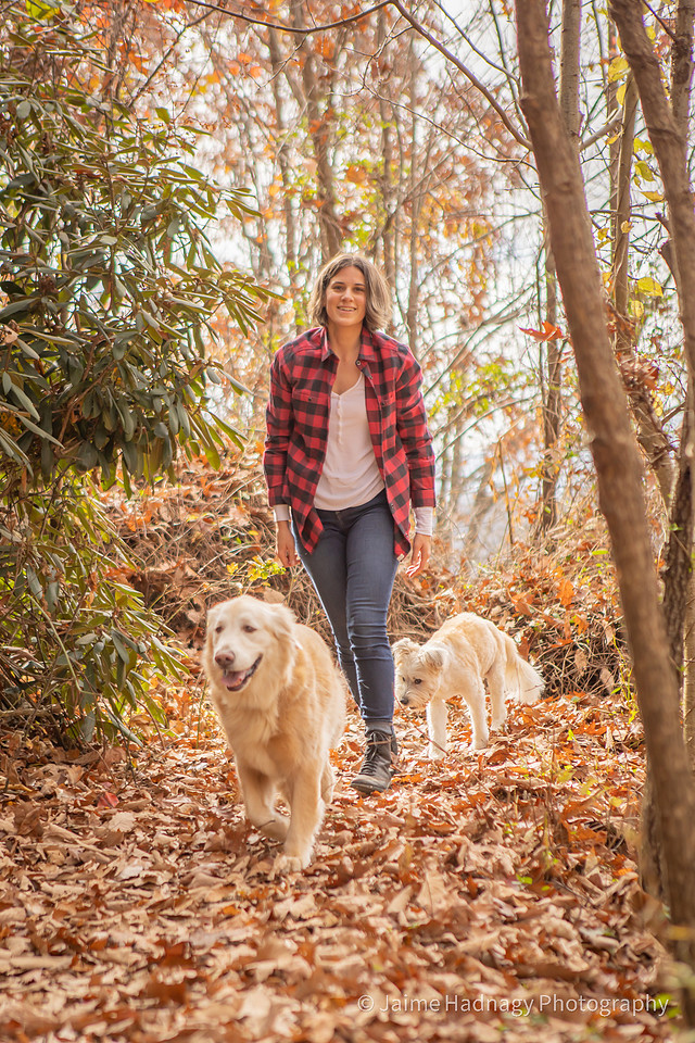 Loving Photoshoot For Elderly Dog | Asheville Furbaby Photographer