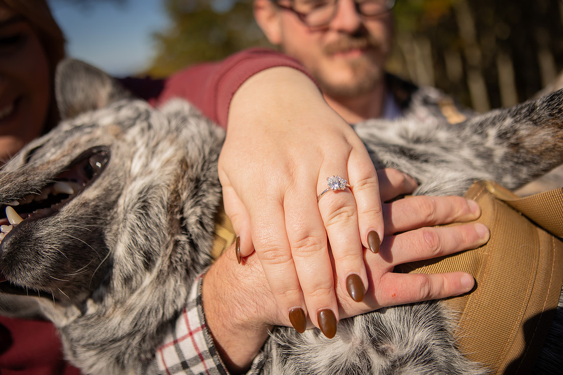 Mountain View Proposal with Dog | Asheville Photographer