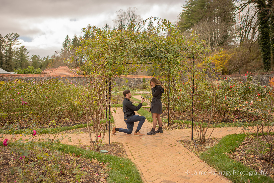 Winter Proposal in the rose garden at Biltmore House | Asheville Photography