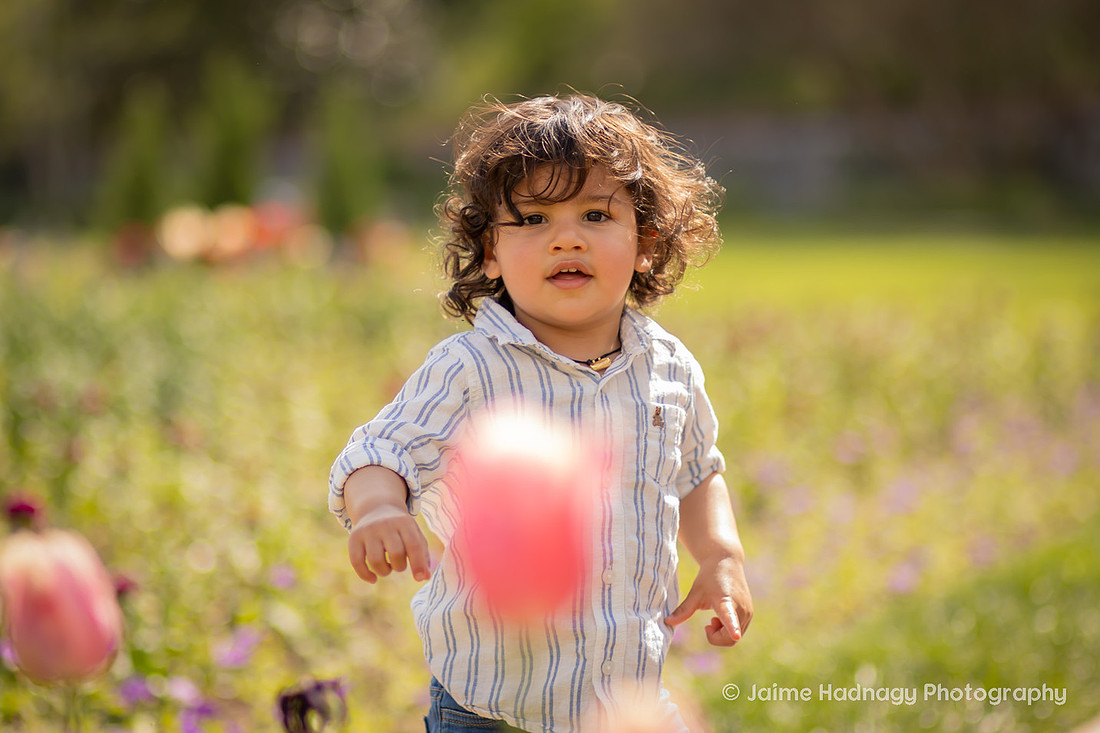 Family Photos in the Tulip Garden at the Biltmore Estate | Asheville Photographer