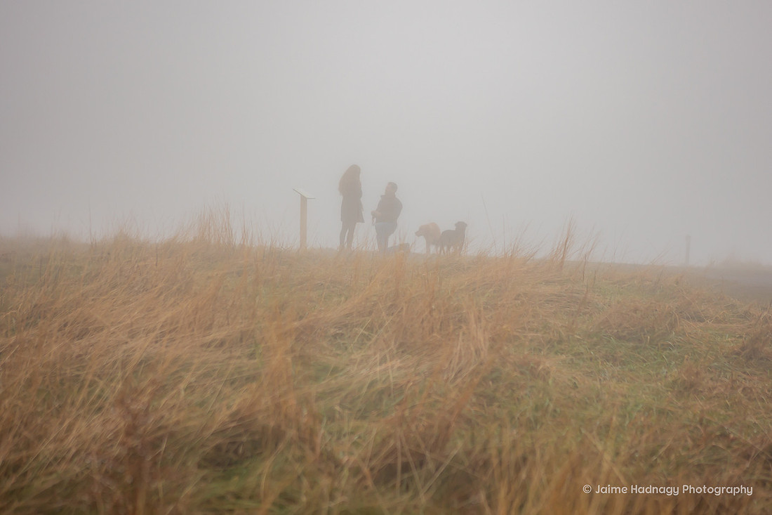 Hiking Surprise Proposal at Max Patch in the Fog | Asheville Photographer