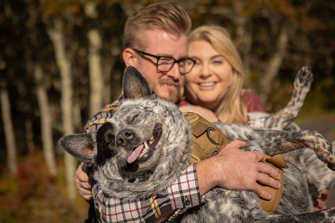 Mountain View Proposal with Dog | Asheville Photographer