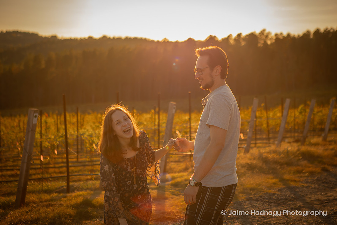 Engagement Photos at Mountain Brook Vineyards in Tryon | Asheville Proposal Photographer