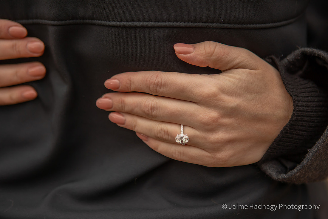 Winter Proposal in the rose garden at Biltmore House | Asheville Photography