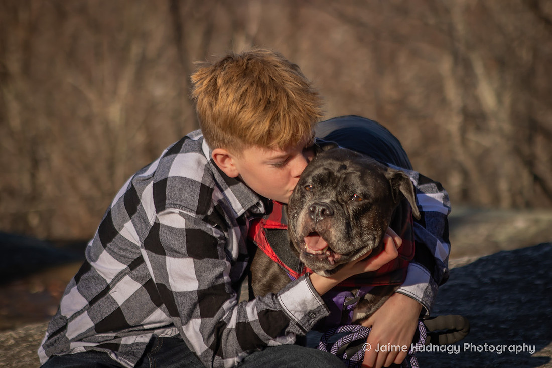 Loving Family Photos with Senior Dog | Asheville Pet Photographer