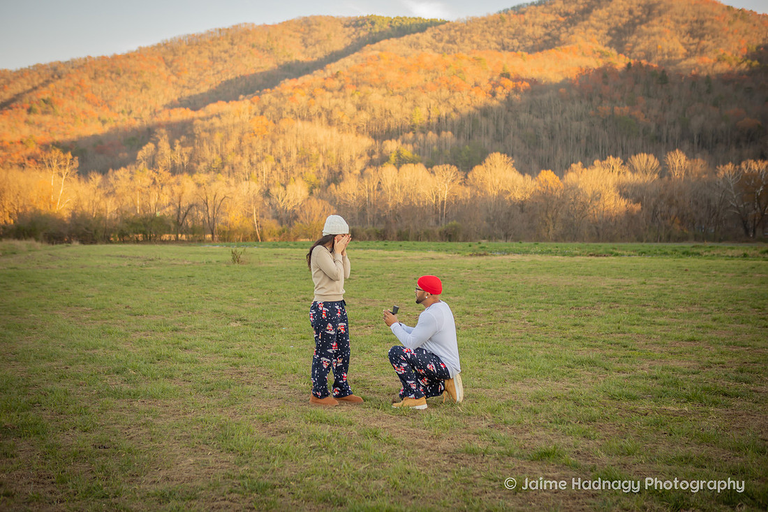 Christmas Proposal | Asheville Family Photographer