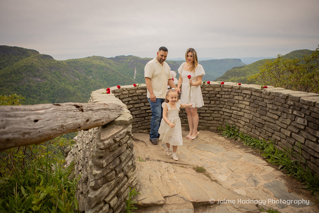 Romantic Proposal with Roses in the Mountains of Western NC | Asheville Photographer