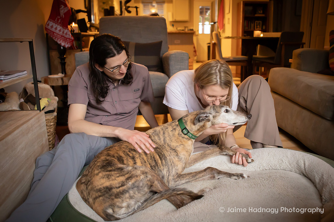 End of Life Photoshoot for Senior Dog | Asheville Pet Photographer