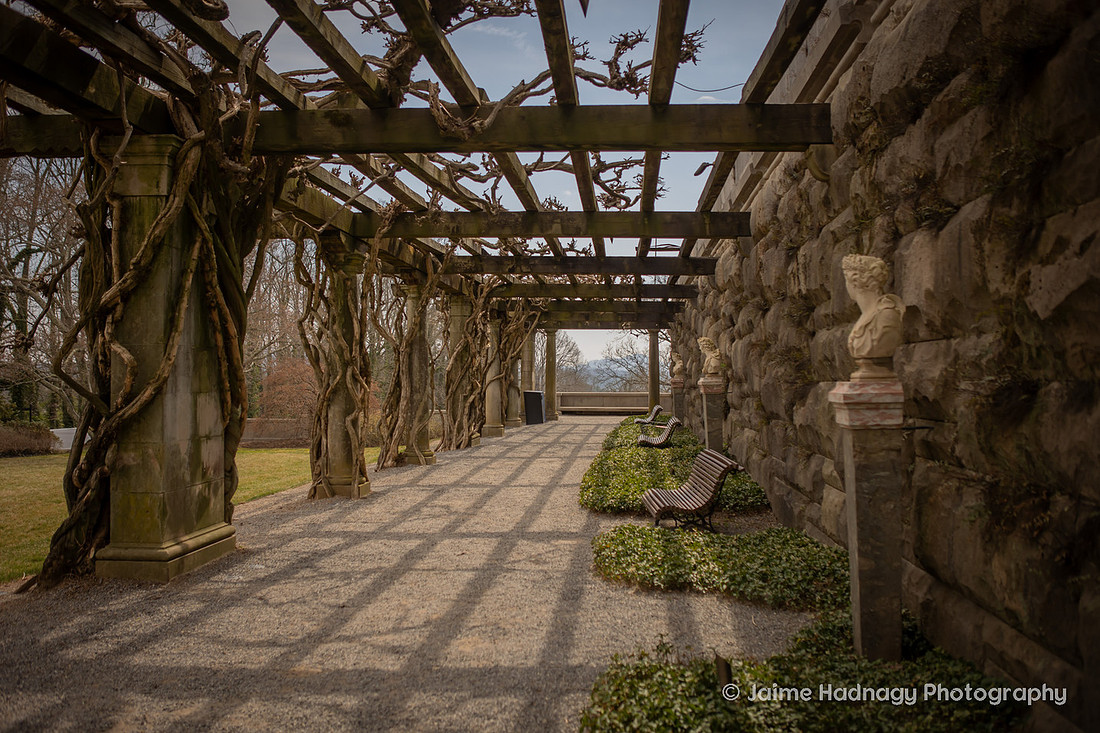 Proposal Photography at the Pergola at Biltmore Estate