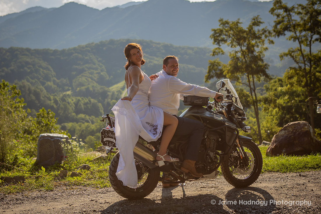 Wedding with Highland COws and Motorcycle | Asheville Elopement Photographer