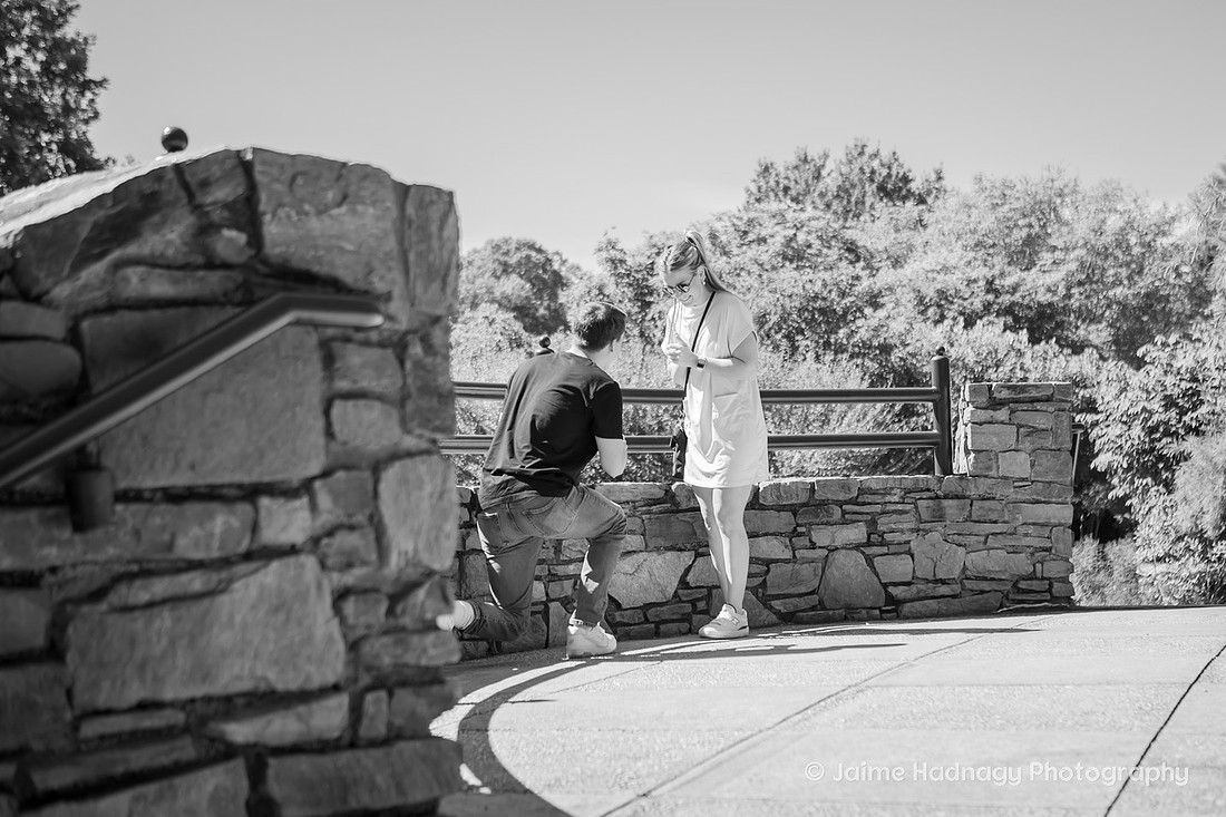 Surprise Proposal at The NC Arboretum | Asheville Engagement Photographer