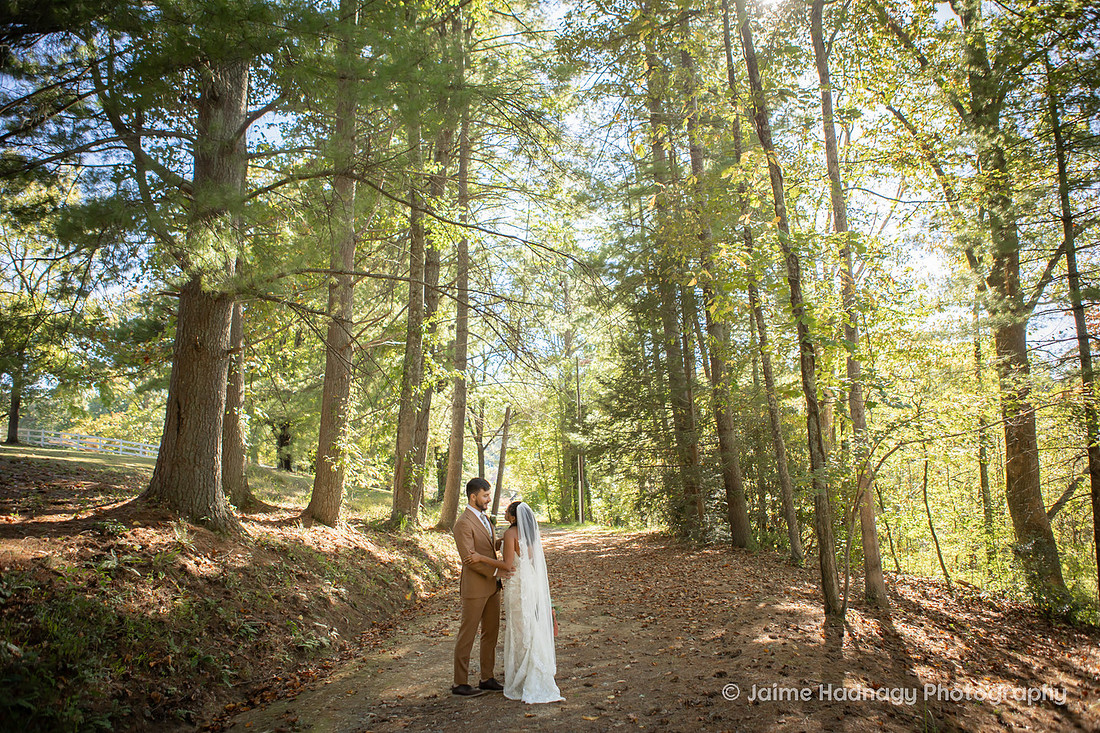 Wedding Details, Group Photos, Bridal Portraits