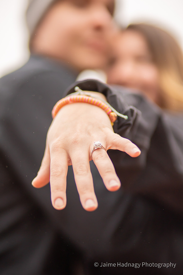 Asheville Engagement Photographer | Couples Photos at Biltmore Estate