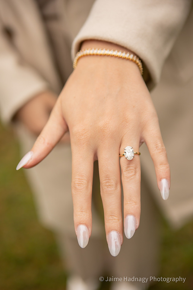 Surprise Proposal Biltmore Estate Photographer