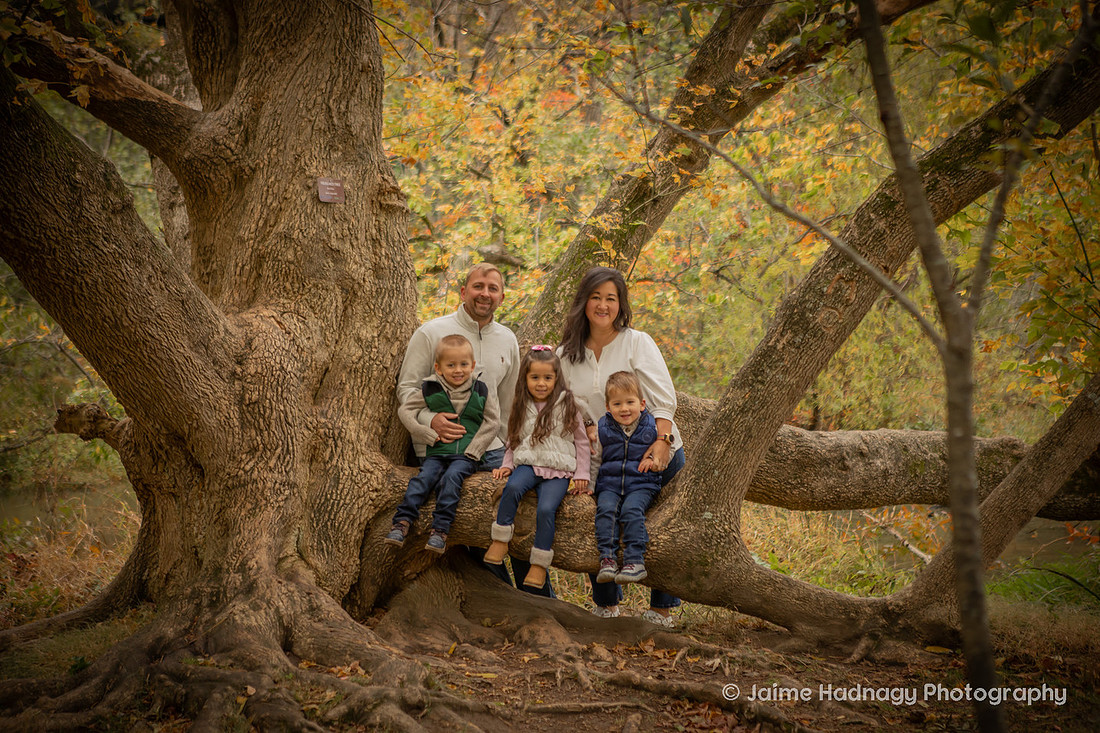 Outdoor Family Photos in Asheville with 4 Year Old Triplets
