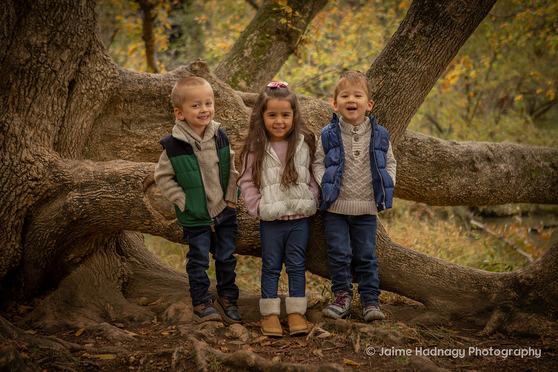 Outdoor Family Photos in Asheville with 4 Year Old Triplets