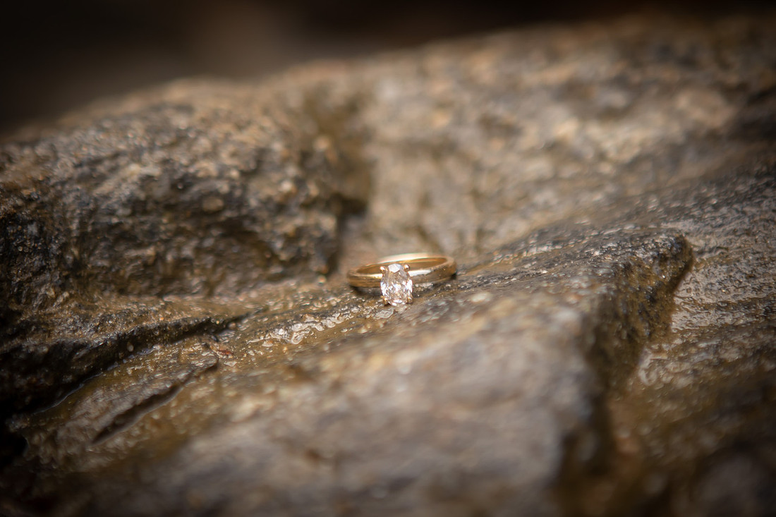 Looking Glass Falls Engagement Session