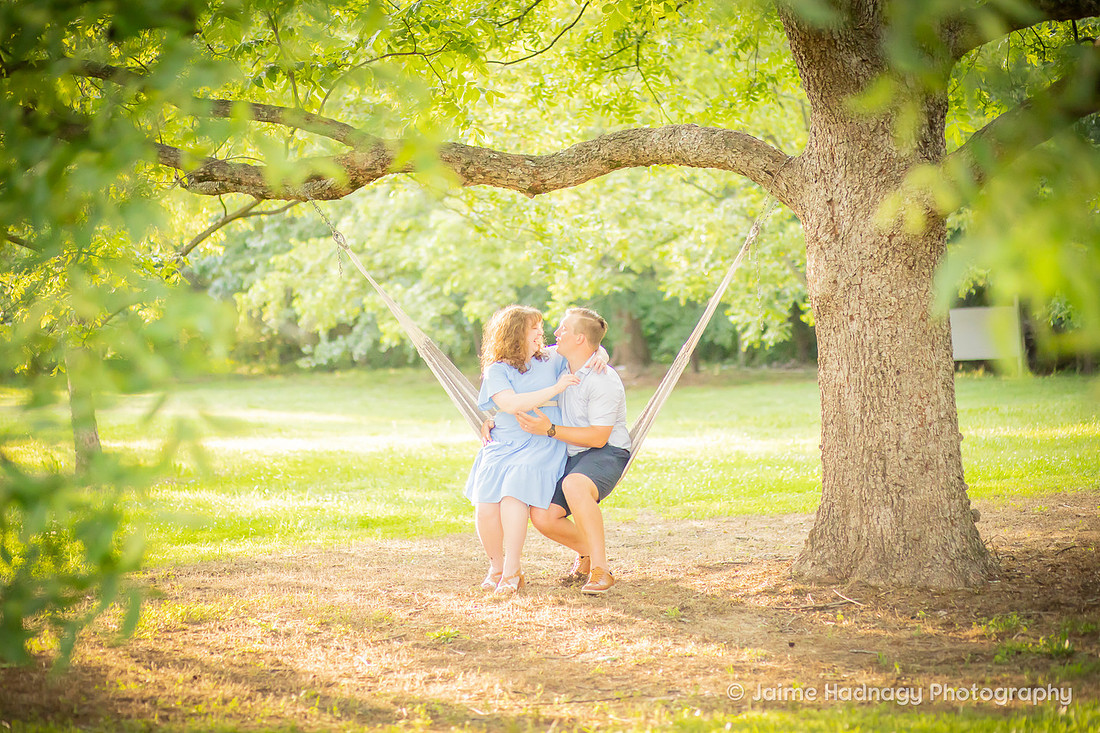 Family Reunion Photoshoot | Black Mountain Photographer