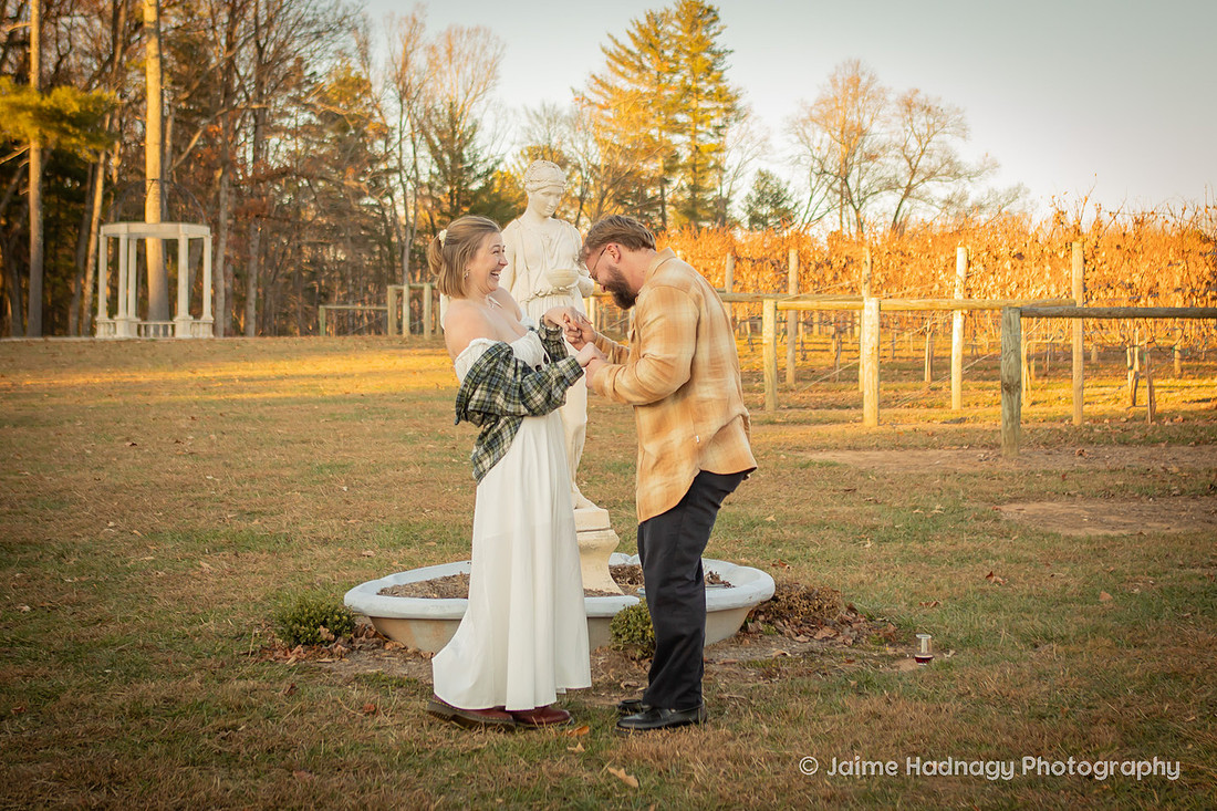 Vineyard Proposal Photography | Asheville Engagement Photographer