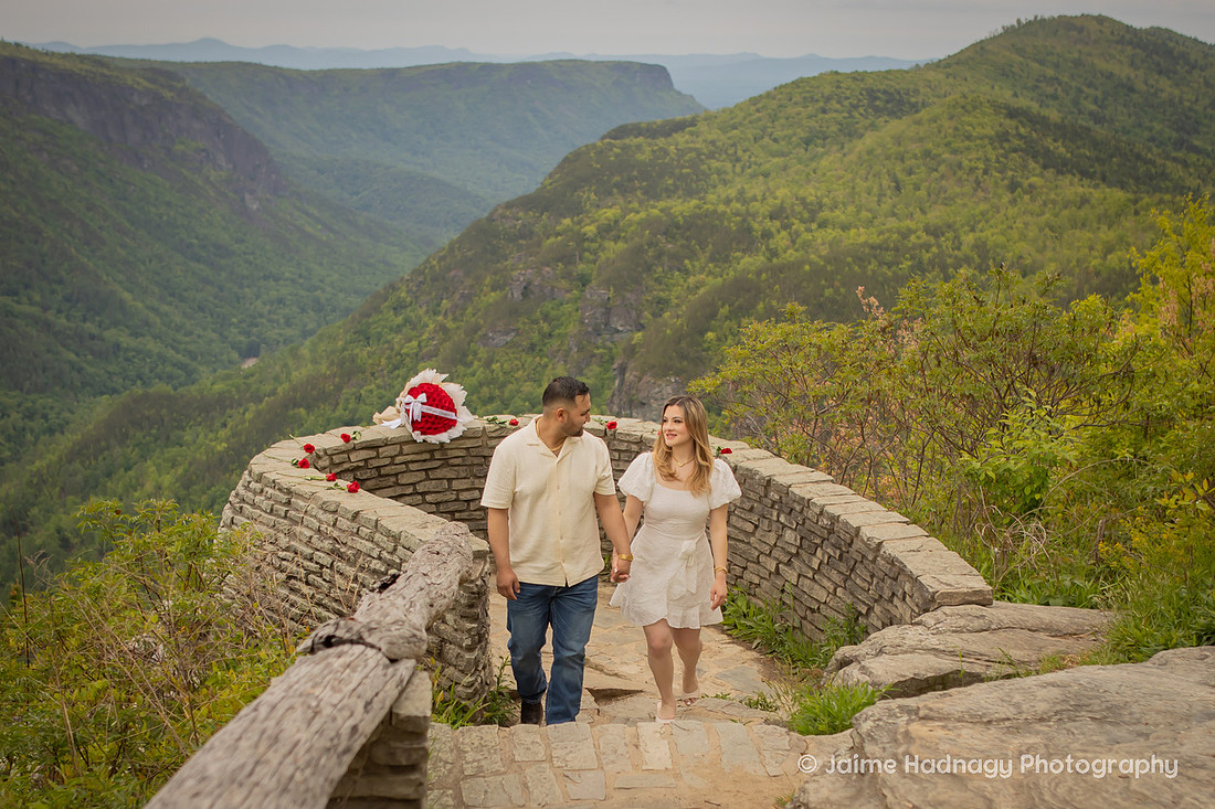 Romantic Proposal with Roses in the Mountains of Western NC | Asheville Photographer