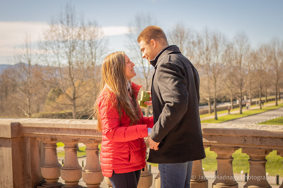 Asheville Photographer Christmas Photos at Biltmore Estate