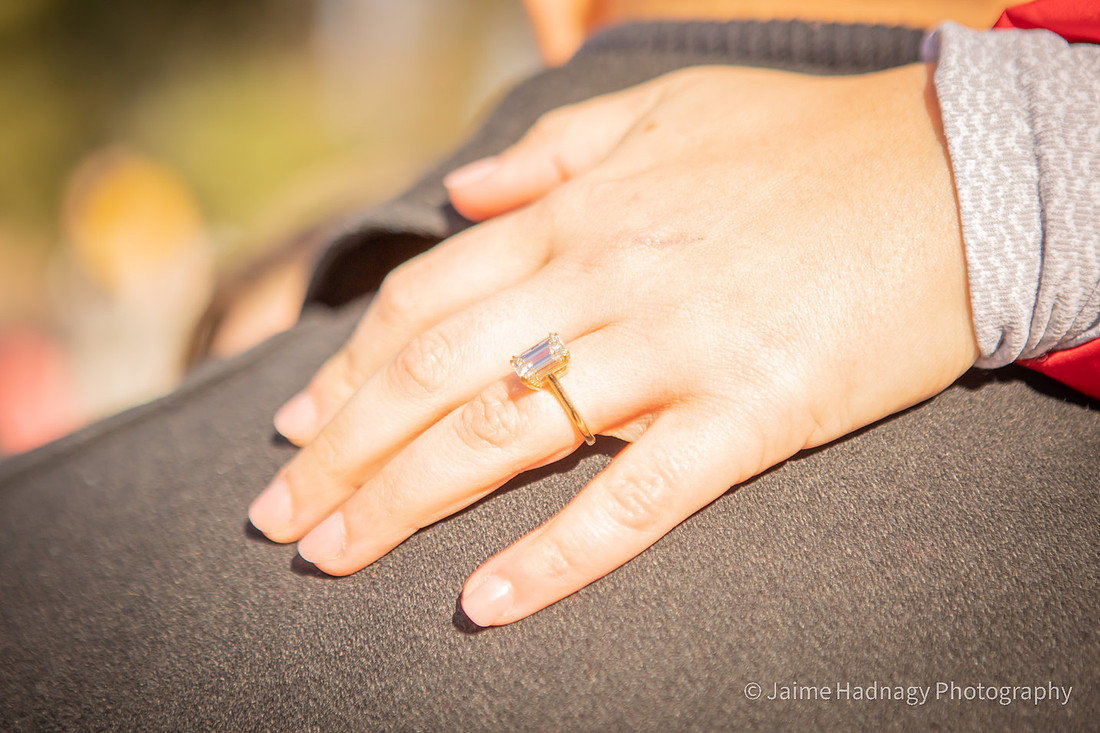 Engagement photos at Biltmore Estate