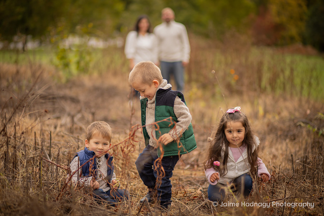 Outdoor Family Photos in Asheville with 4 Year Old Triplets