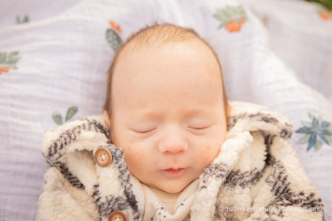 Newborn Photoshoot | Asheville Baby Photographer