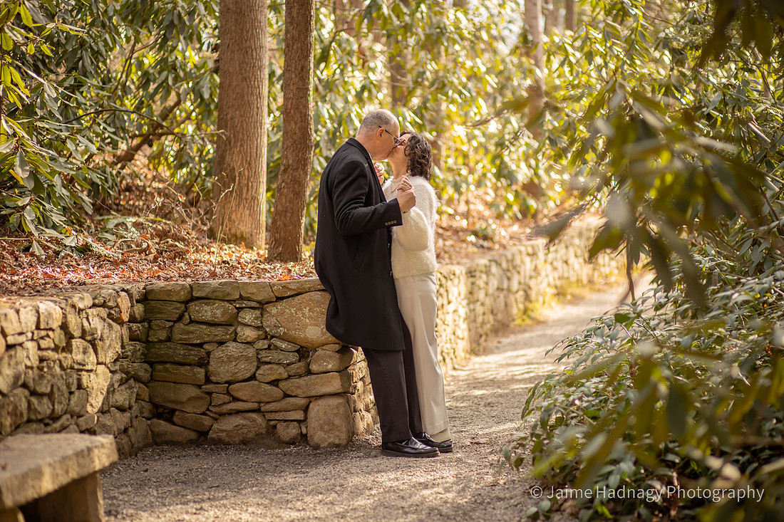 Anniversary Photos in Asheville Botanical Gardens | Couples Photographer