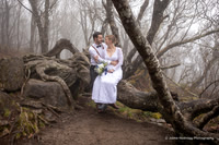 Rachel & Daniel: Adventure Wedding at Craggy Gardens